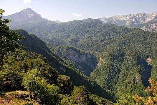 Dense forest landscape in Perućica Bosnia and Herzegovina